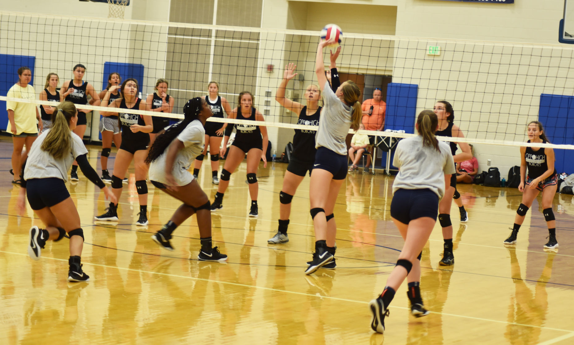 Volleyball
